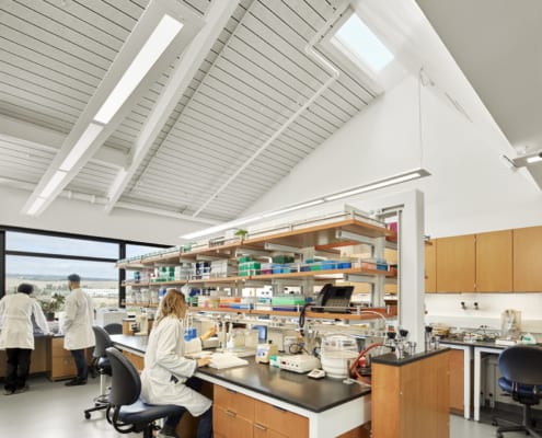 UCSC Coastal Biology