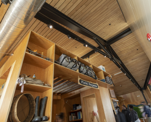 Presidio Tunnel Tops