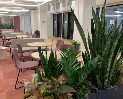 Patreon NYC Office Refresh