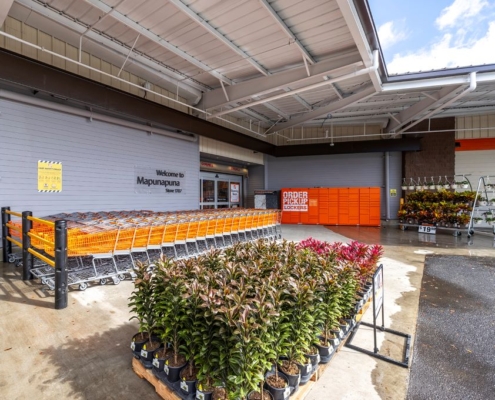 Home Depot Mapunapuna